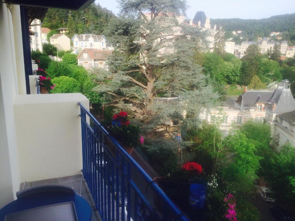 Bellevue Hotel Chatel-Guyon Bagian luar foto